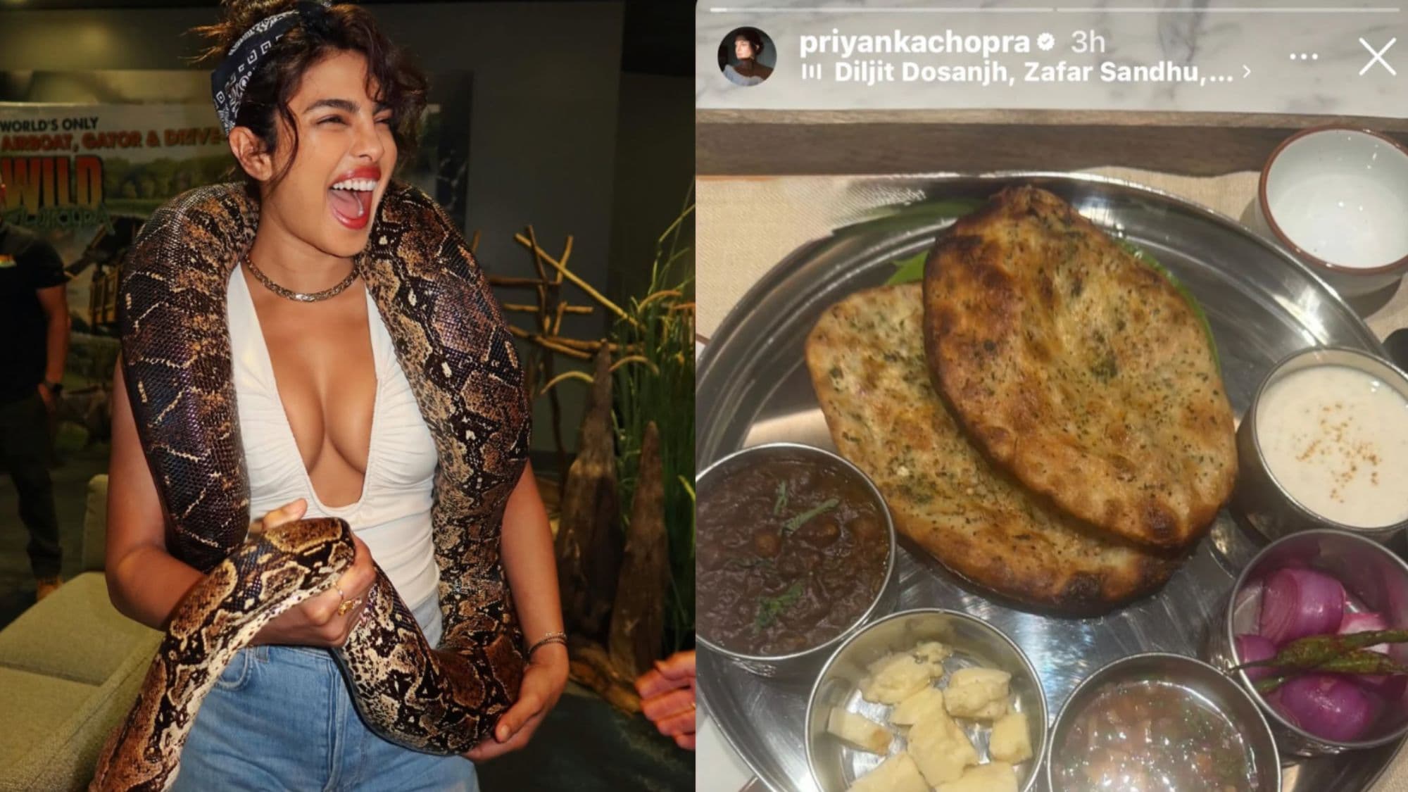 Priyanka Chopra Profile