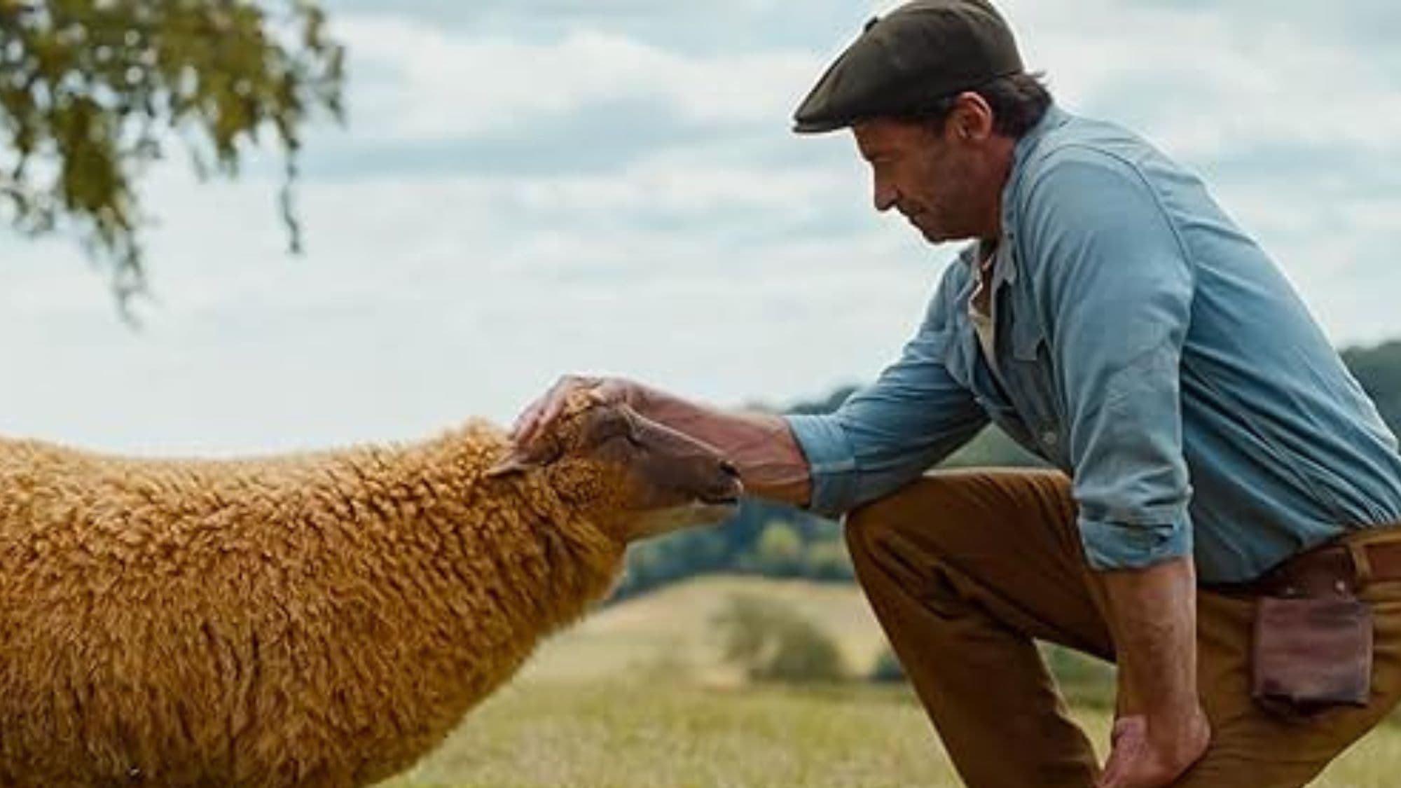 The Sheep Detectives