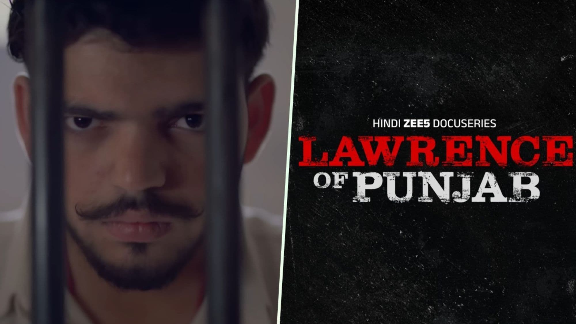Lawrence of the Punjab Profile