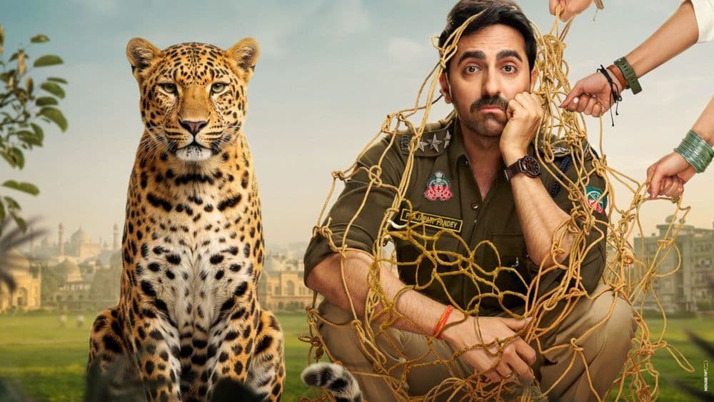 Finally! Pati Patni Aur Woh 2 release date out, hits May 15, 2026